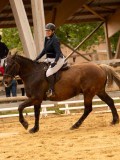 DSC00743 DSC00743