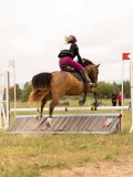 DSC01674 DSC01674