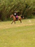 DSC01675 DSC01675