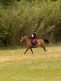 DSC01676 DSC01676