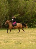 DSC01678 DSC01678