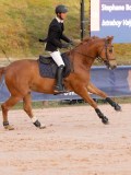 DSC04675 DSC04675