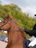 DSC04676 DSC04676