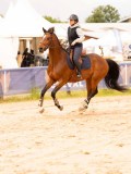 DSC01623 DSC01623