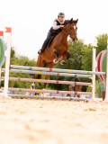 DSC01627 DSC01627