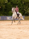 DSC03529 DSC03529