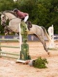 DSC03530 DSC03530