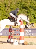 DSC03990 DSC03990