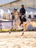 DSC03994 DSC03994