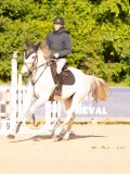 DSC03997 DSC03997