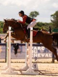 DSC06446 DSC06446