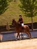 DSC06448 DSC06448