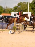 DSC06453 DSC06453