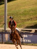 DSC06454 DSC06454