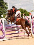 DSC06456 DSC06456