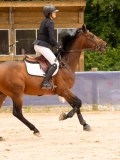 DSC05848 DSC05848
