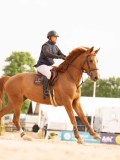 DSC05267 DSC05267