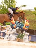 DSC05269 DSC05269
