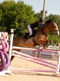 DSC04845 DSC04845