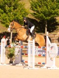 DSC04850 DSC04850