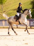 DSC07743 DSC07743