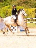 DSC07745 DSC07745