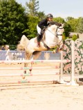 DSC07746 DSC07746