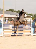 DSC07752 DSC07752