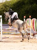 DSC07756 DSC07756