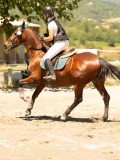 DSC06555 DSC06555