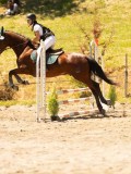 DSC06557 DSC06557