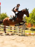 DSC06558 DSC06558