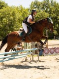 DSC06560 DSC06560