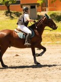 DSC06565 DSC06565