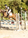 DSC08249 DSC08249