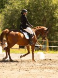 DSC05799 DSC05799