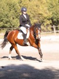 DSC01585 DSC01585