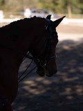 DSC01591 DSC01591
