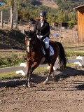 DSC01610 DSC01610