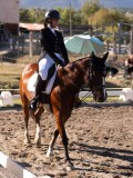 DSC01619 DSC01619