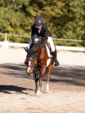 DSC01624 DSC01624