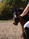 DSC03759 DSC03759