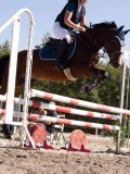 DSC03764 DSC03764
