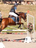 DSC03766 DSC03766