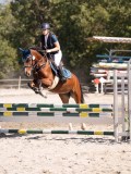 DSC03767 DSC03767