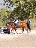 DSC03776 DSC03776