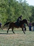 DSC_6076 DSC_6076