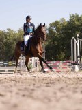 DSC03474 DSC03474