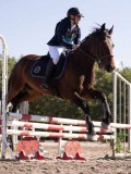 DSC03475 DSC03475