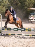 DSC03478 DSC03478